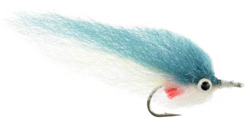 Blueback Herring