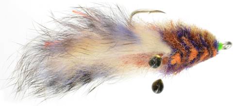 Tarpon Crab - Calico
