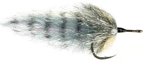 Tarpon Rat
