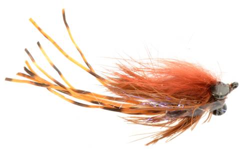 Erdosy's Carp Crab - Brown