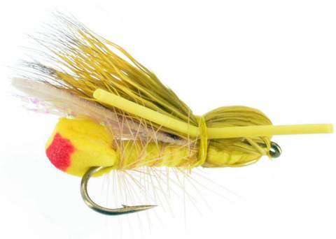 Eric's Yellow Sally