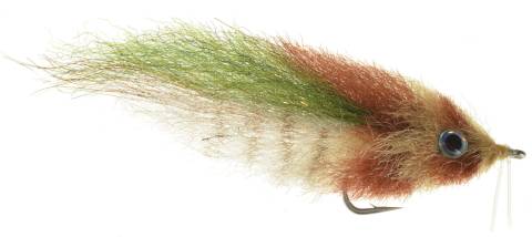 Everglades Special
