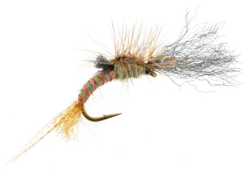 Film Critic - Green Drake Emerger