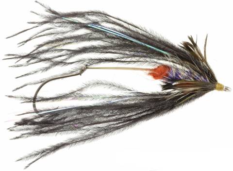 Fish Taco - Black