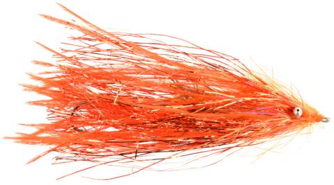 Fish Taco - Orange
