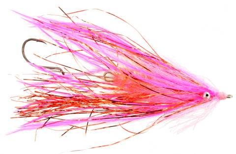 Fish Taco - Pink