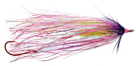 Flash Taco - Pink & Purple