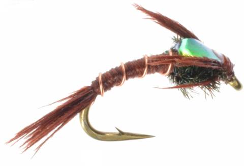 Flashback Quill Nymph - Brown