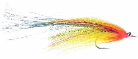 Flashtail Whistler - Orange & Yellow