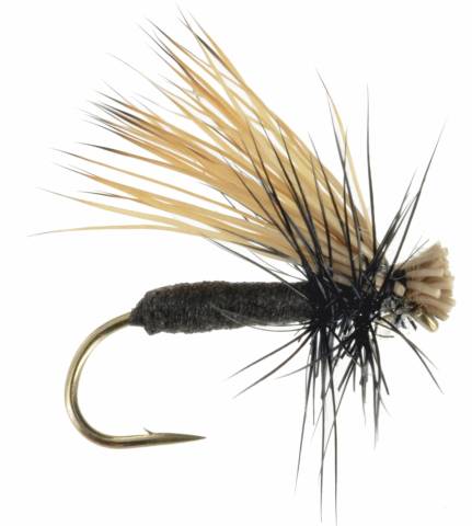 Foam Caddis - Black