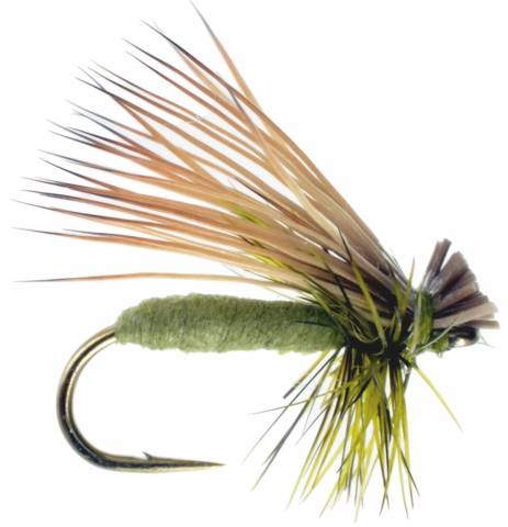 Foam Caddis - Olive