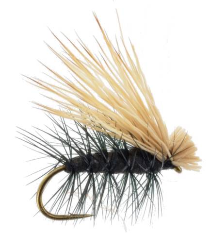 Foam Elk Hair Caddis - Black