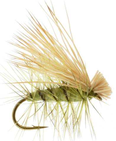 Foam Elk Hair Caddis - Olive