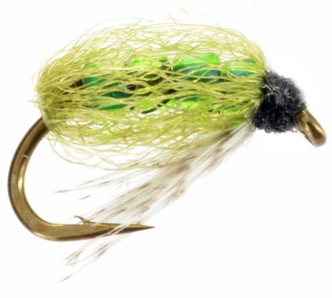Four Bead Caddis Olive