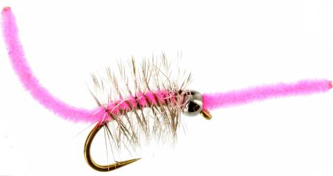 Hammond's Fuzzy Worm - Pink