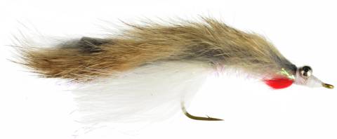 Gizzard Shad