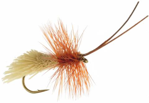 Goddard Caddis