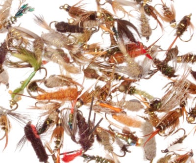 One Half Dozen Assorted Nymphs