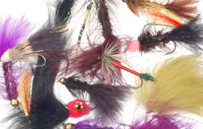 One Half Dozen Assorted Streamers
