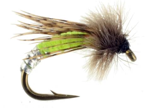 Graphic Caddis - Olive