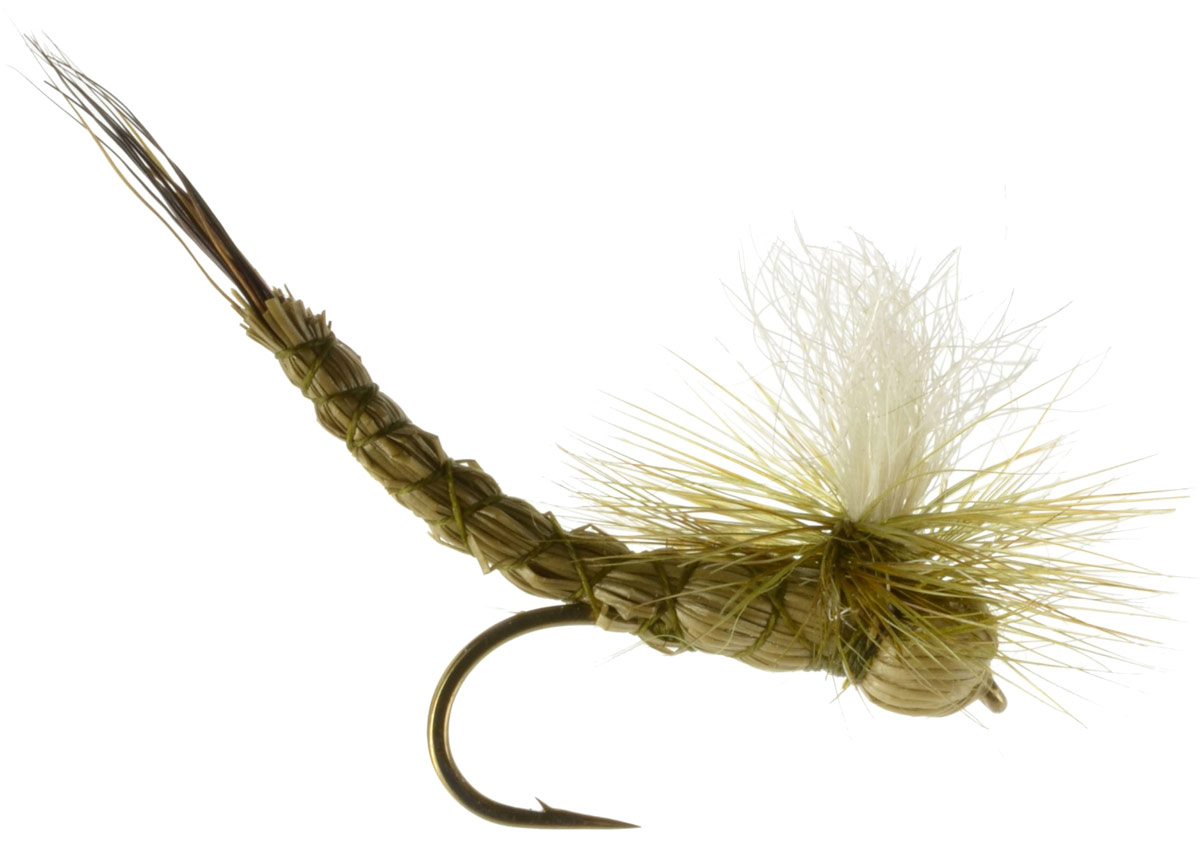 Green Drake Paradrake, Fly Fishing Flies For Less