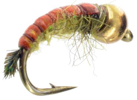 GTI Caddis - Olive Tungsten Bead