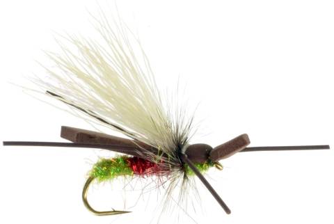 Gypsy King Variant - Grumpy