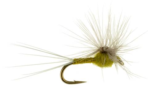 Hackle Stacker - BWO