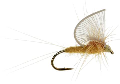 Half Hackle PMD