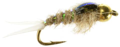 Hare's Ear Beadhead Poxyback (Flashback)