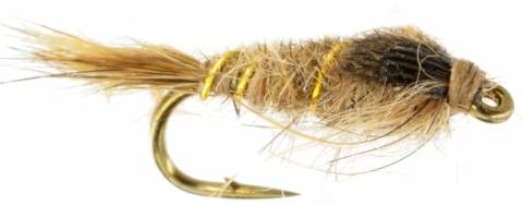 Hare's Ear