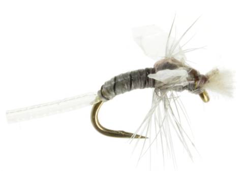 Hatchling Midge - Grey