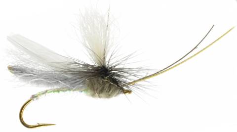 Headlight Caddis Grey