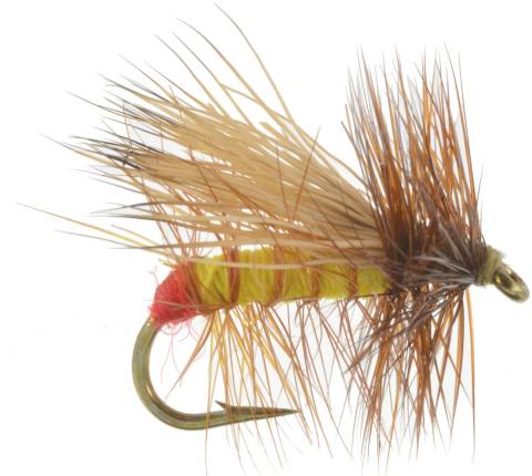 Henry's Fork Yellow Sally