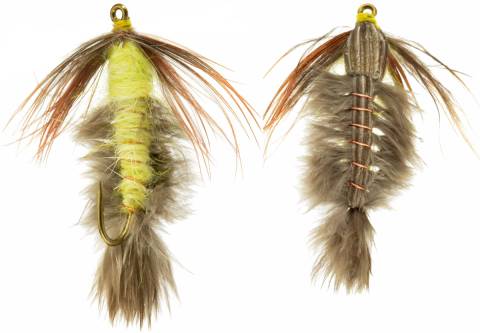 Hexagenia Nymph