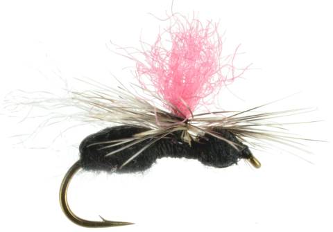 Hi-Viz Flying Ant - Black