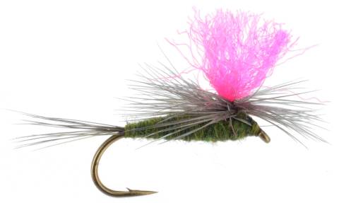 Hi-Viz Parachute Blue-winged Olive