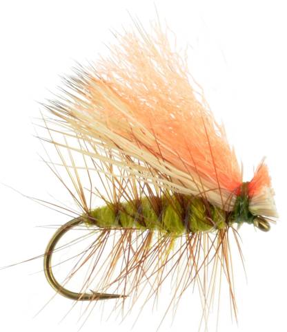 Hi-Viz Elk Hair Caddis - Olive