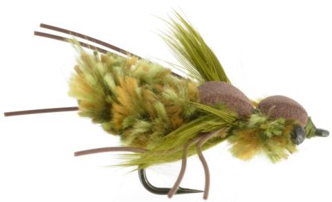 Hope's Carp Dragon - Olive
