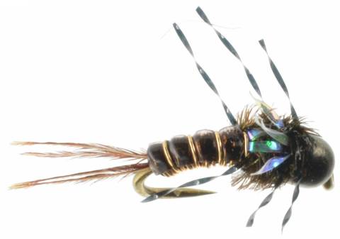 Hotwire Mayfly Nymph