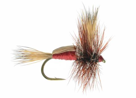Humpy - Red