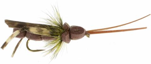Irresistible Hopper