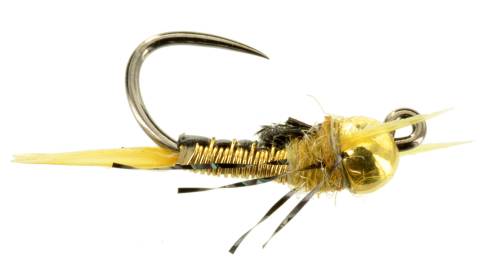 Jiggy Iron Sally TB