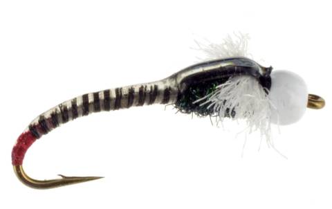 Jumbo Juju Chironomid - Zebra