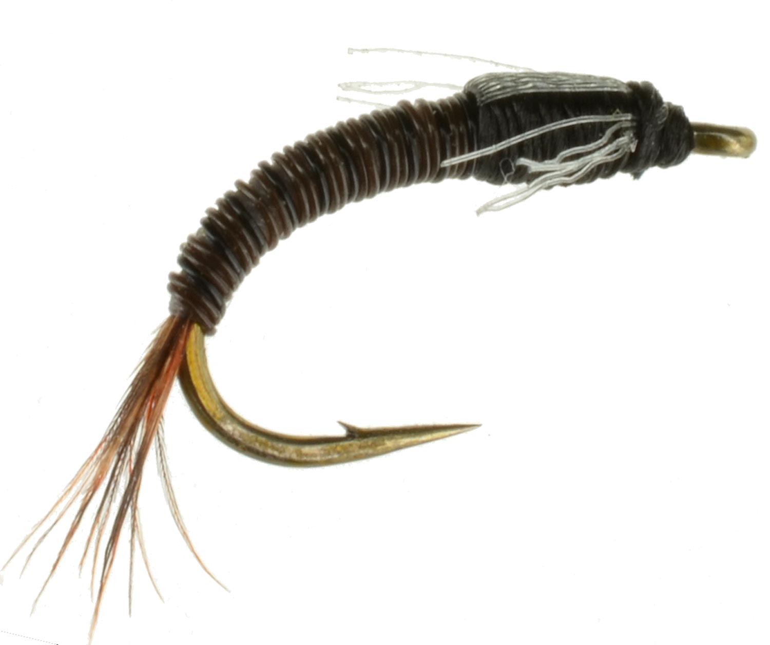 Jujubaetis Emerger