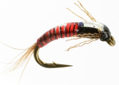 Jujubaetis - Red