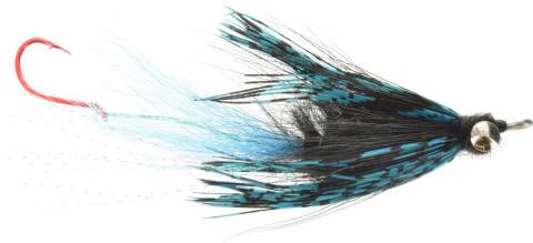 Jumbo Critter - Blue & Black