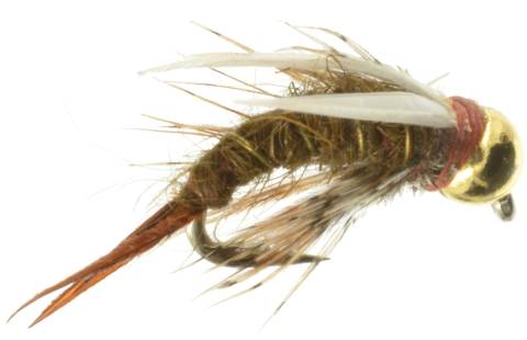 King Prince Nymph