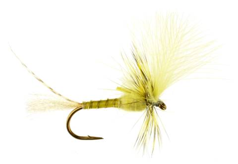 Last Chance Cripple Eastern Green Drake