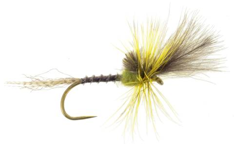 Last Chance Cripple Western Green Drake